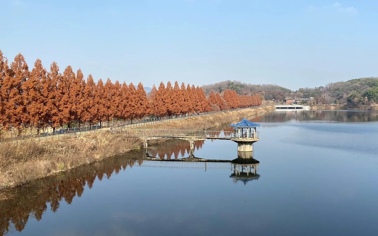 Lake, nature and trees